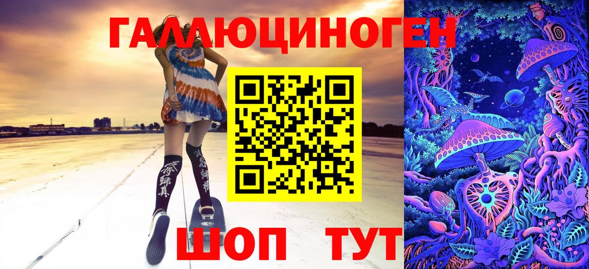 Галлюциногенные грибы Psilocybe Чайковский