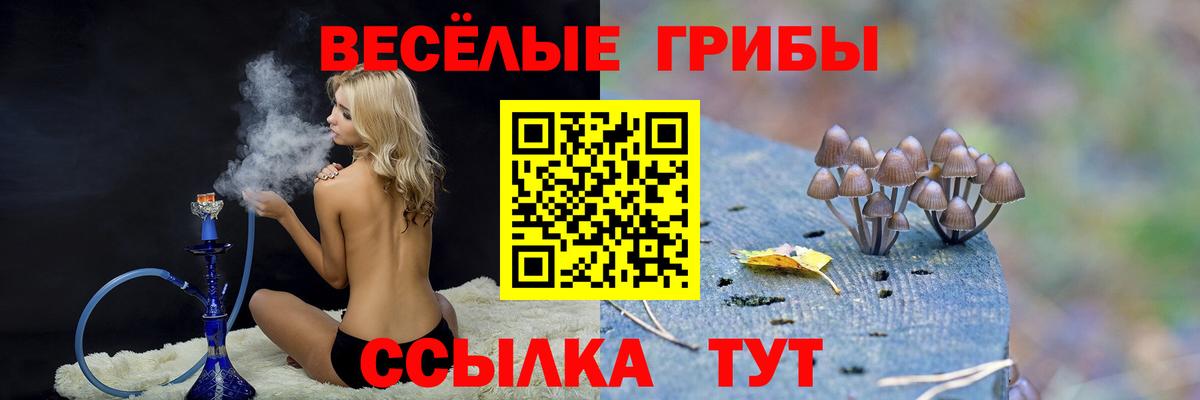 Псилоцибиновые грибы мухоморы  Вход с VPN  Чайковский 