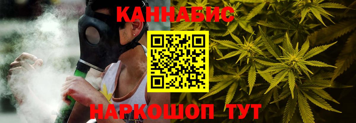 Конопля гибрид Чайковский